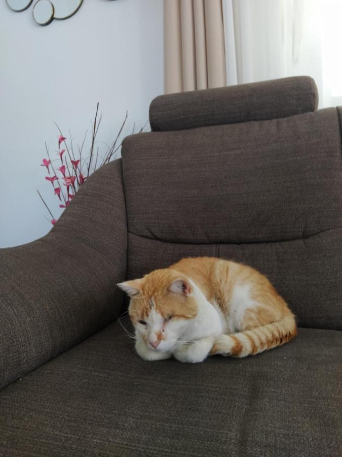 Apartment Juric トロギール エクステリア 写真